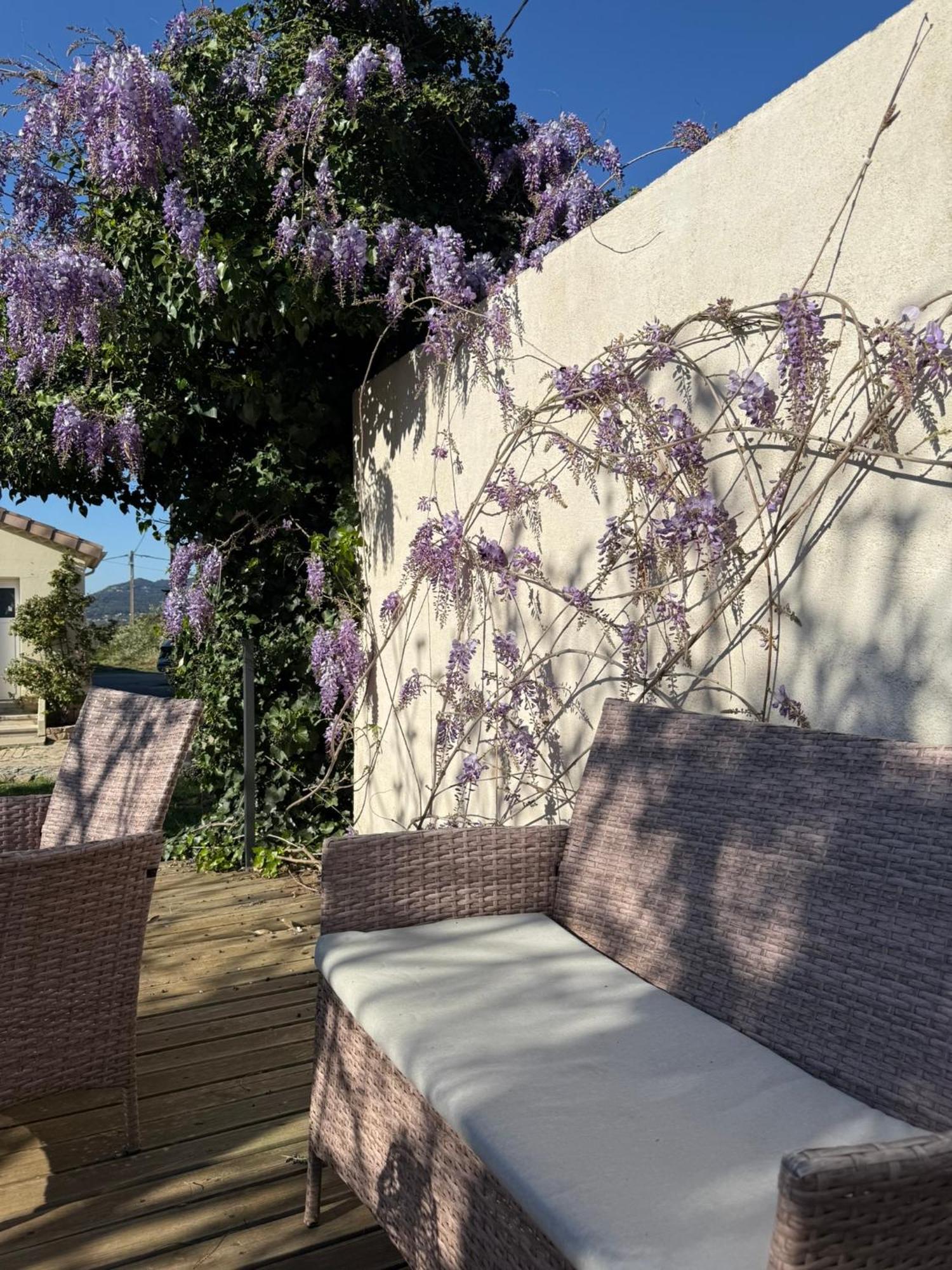 Gite Climatise Avec Piscine Sur Les Hauteurs De Bollene Exterior photo